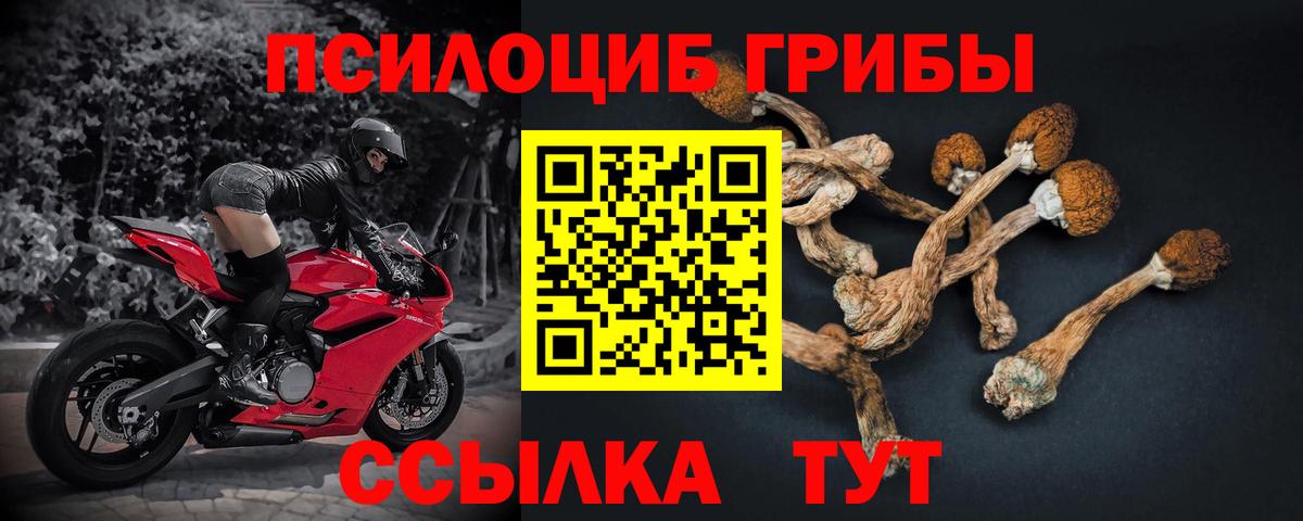 Галлюциногенные грибы мицелий Калач-на-Дону